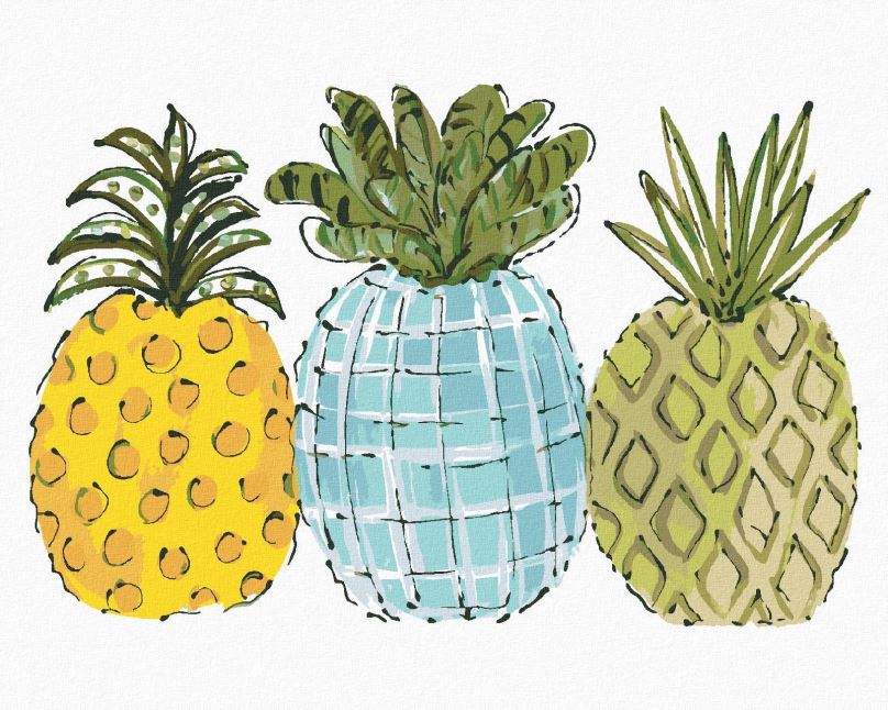 Malování podle čísel Barevné ananasy (Haley Bush), 40x50 cm, bez rámu a bez vypnutí plátna