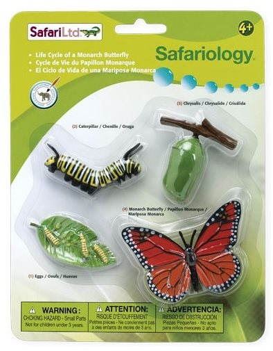 Anatomický model Safari Ltd. Životní cyklus - Motýl