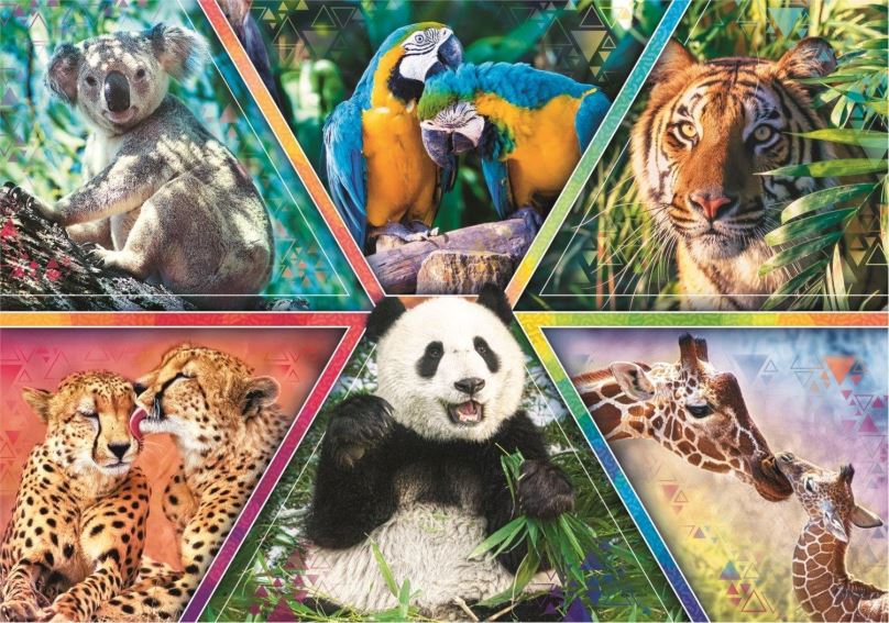 Puzzle Trefl Puzzle Animal Planet: Království zvířat 1000 dílků