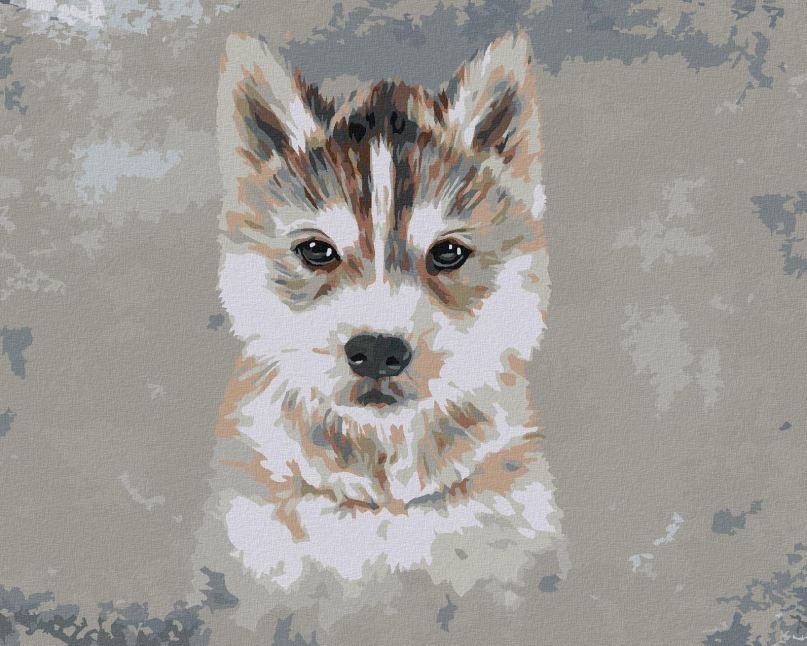Malování podle čísel Husky na šedém pozadí, 40x50 cm, vypnuté plátno na rám