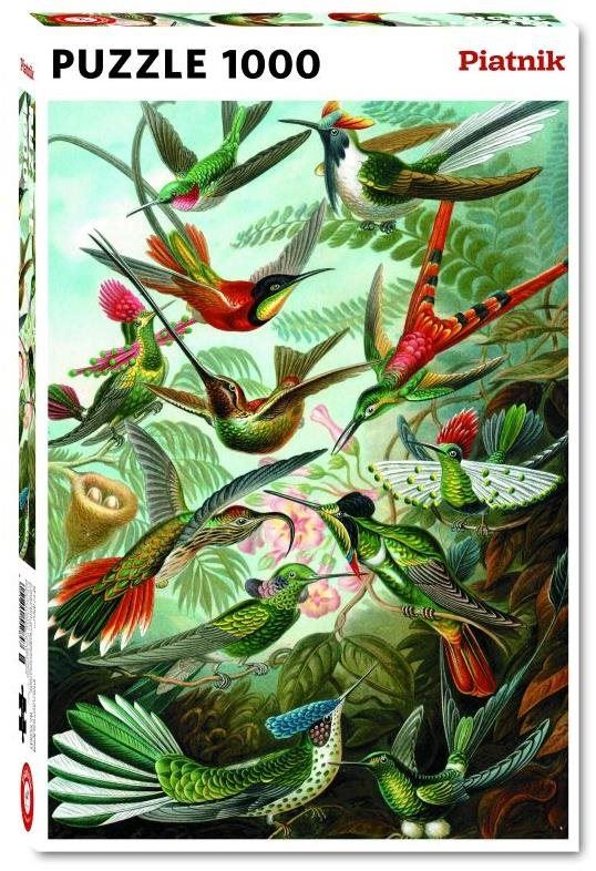 Puzzle Haeckel - Kolibris