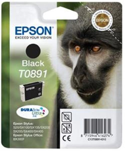 Cartridge Epson T0891 černá