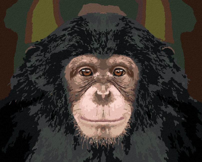 Malování podle čísel Portrét šimpanze, 40x50 cm, bez rámu a bez vypnutí plátna