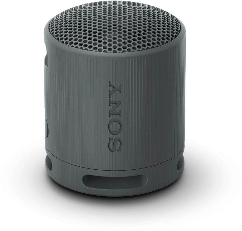 Bluetooth reproduktor Sony SRS-XB100 černá