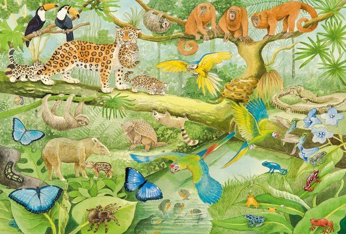 Puzzle Schmidt Puzzle Zvířata v džungli 100 dílků
