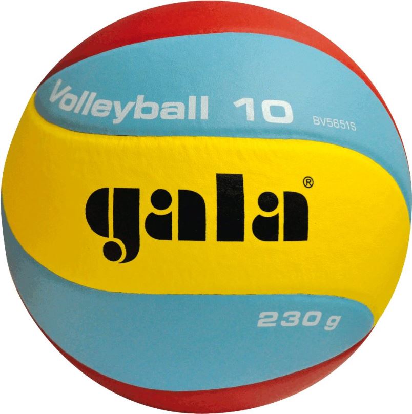 Volejbalový míč Gala Volleyball 10 BV 5651 S - 230g