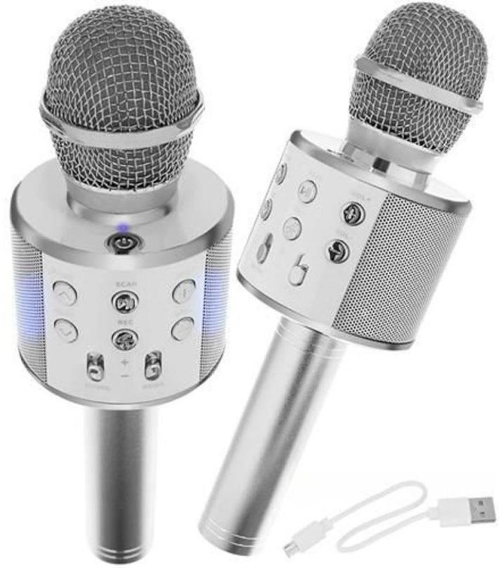 Mikrofon Iso Trade Karaoke mikrofon s reproduktorem Izoxis - stříbrný