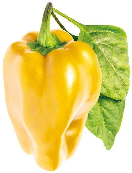 Sazenice Click and Grow Sladká žlutá paprika