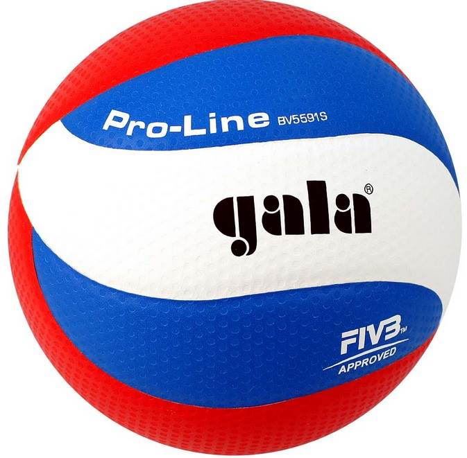 Volejbalový míč Gala Pro Line BV 5591 S