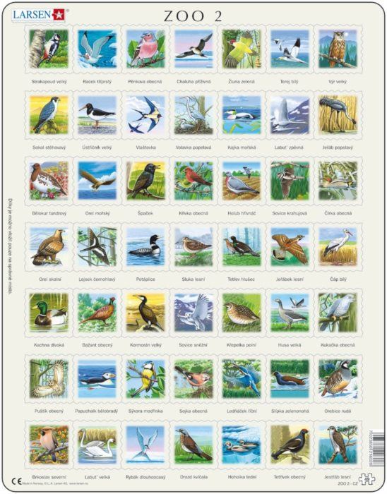 LARSEN Puzzle Ptáci (ZOO 2) 49 dílků