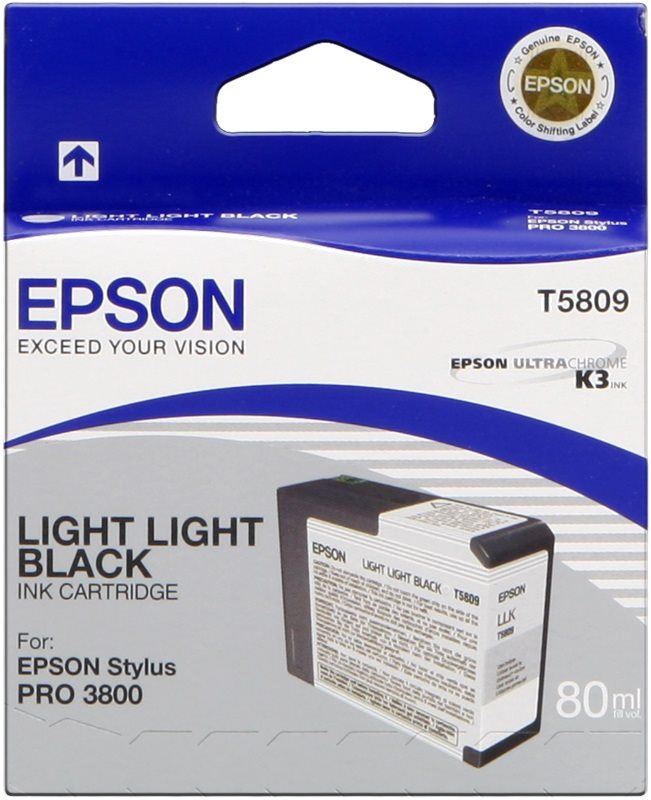 Cartridge Epson T580 světle světlá černá