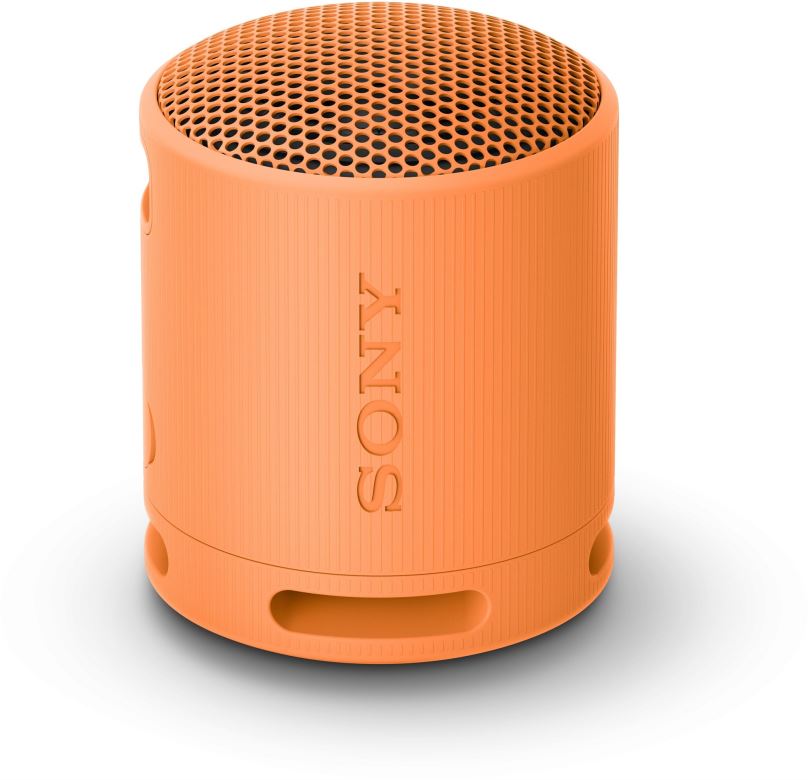 Bluetooth reproduktor Sony SRS-XB100 šedá