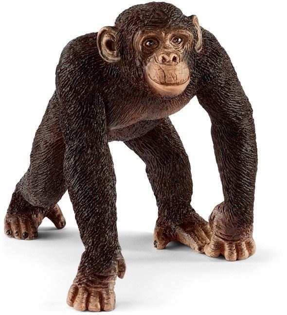 Figurka Schleich Šimpanzí mládě 14817