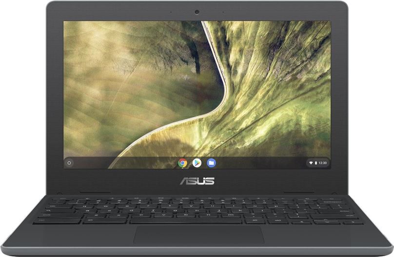 Chromebook ASUS Chromebook C204 C204MA-GJ0512 Dark Grey