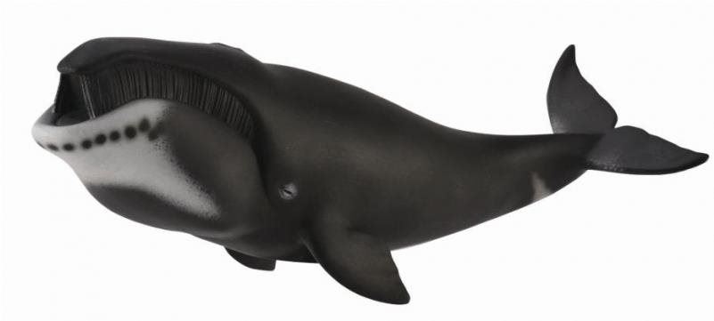 Figurka Collecta velryba grónská