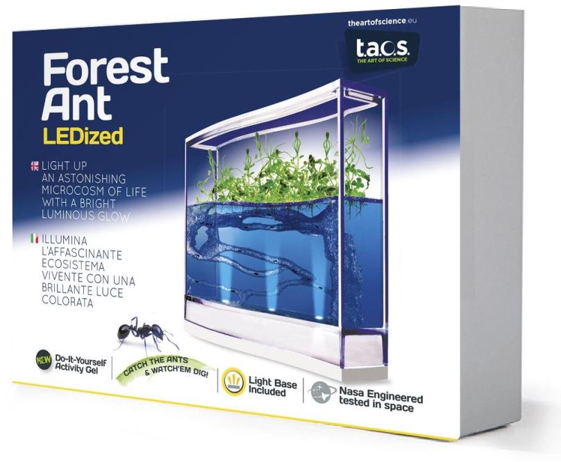 Experimentální sada Forest Ant LEDized Antquarium