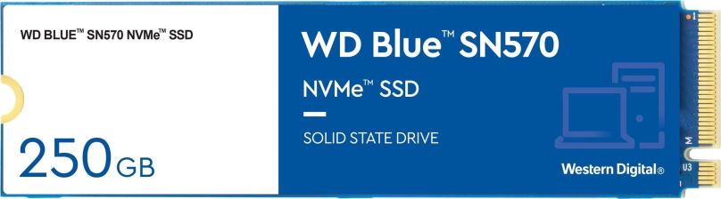 SSD disk WD Blue SN570 250GB
