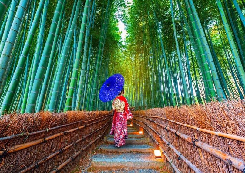 Puzzle Enjoy Asijská žena v bambusovém lese 1000 dílků