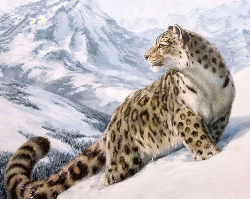 Malování podle čísel Gaira Sněžný levhart M1061