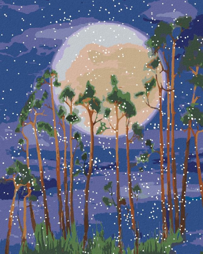 Malování podle čísel Měsíc za stromy v lese, 40x50 cm, bez rámu a bez vypnutí plátna