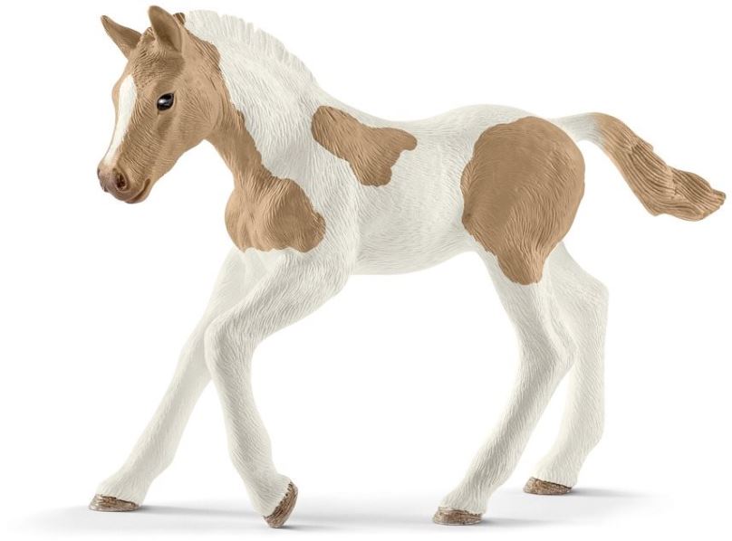 Figurka Schleich Hříbě plemene Paint Horse 13886