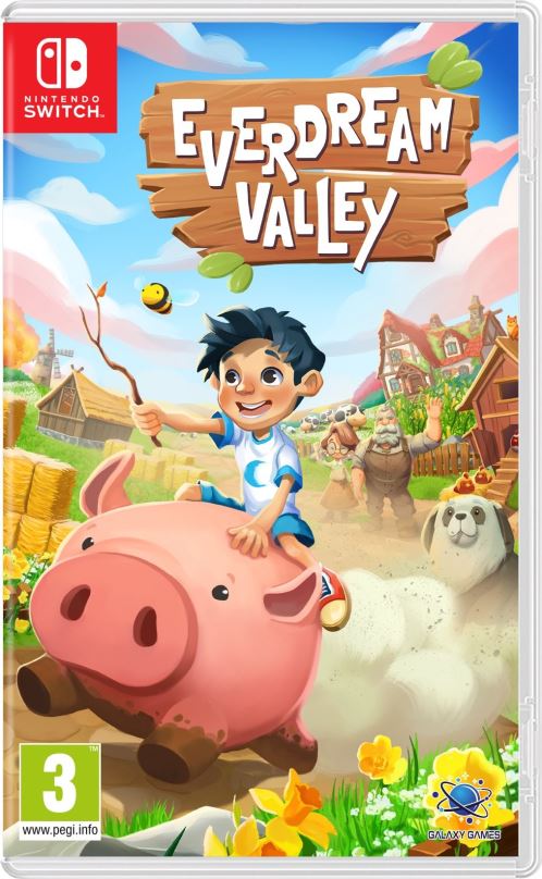 Hra na konzoli Everdream Valley - Nintentdo Switch