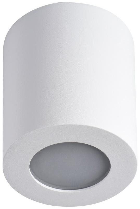 Stropní světlo Koupelnové stropní svítidlo SANI 1xGU10/10W/230V IP44 bílá