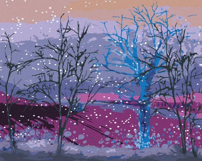 Malování podle čísel Ranní snížek padající na stromy v lese, 40x50 cm, bez rámu a bez vypnutí plátna