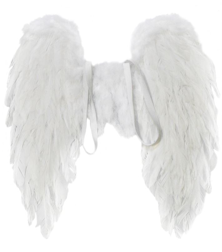 Doplněk ke kostýmu Andělská křídla z peří 50x50cm