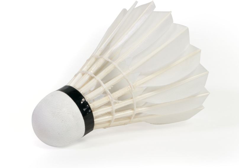 Badmintonový míč WISH S-60 (12 ks)