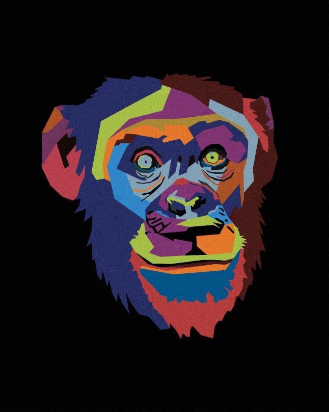 Malování podle čísel Abstraktní pop-art opice na černém pozadí, 40x50 cm, bez rámu a bez vypnutí plátna