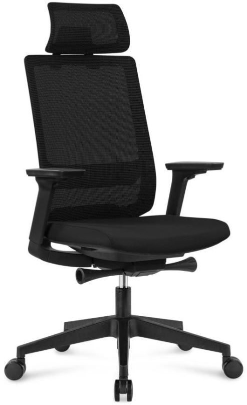 Kancelářská židle DALENOR Meteor, ergonomická, síťovina, černá