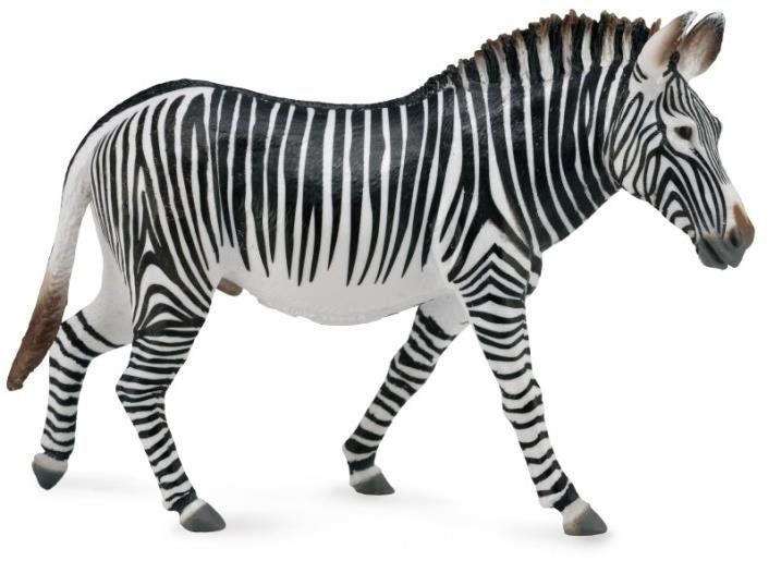 Figurka Collecta zebra Grévyho