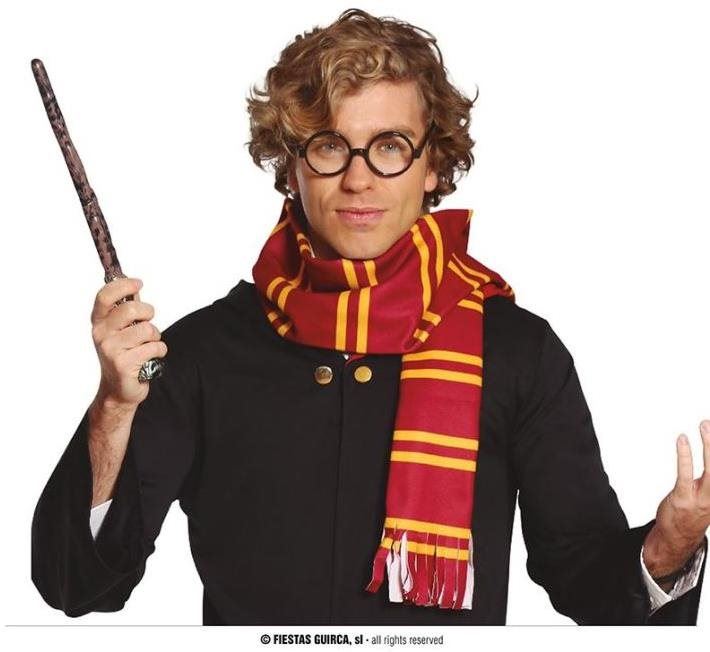 Doplněk ke kostýmu Sada Harry Potter - šál a brýle - 2 ks