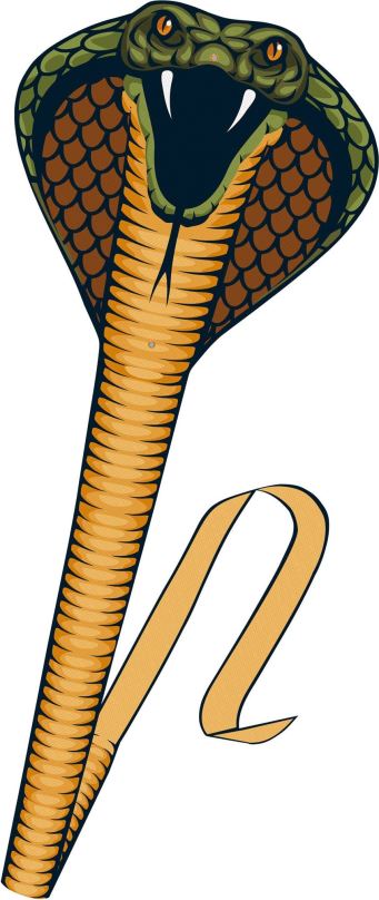 Létající drak Günther Cobra 3D