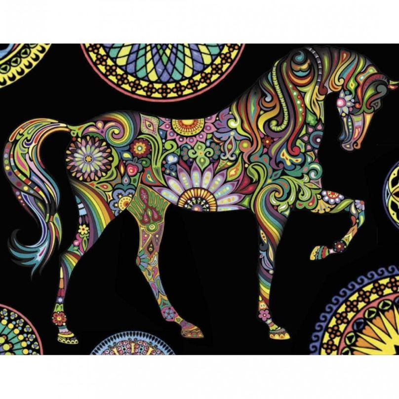 Omalovánky Colorvelvet Sametový obrázek Mandala kůň