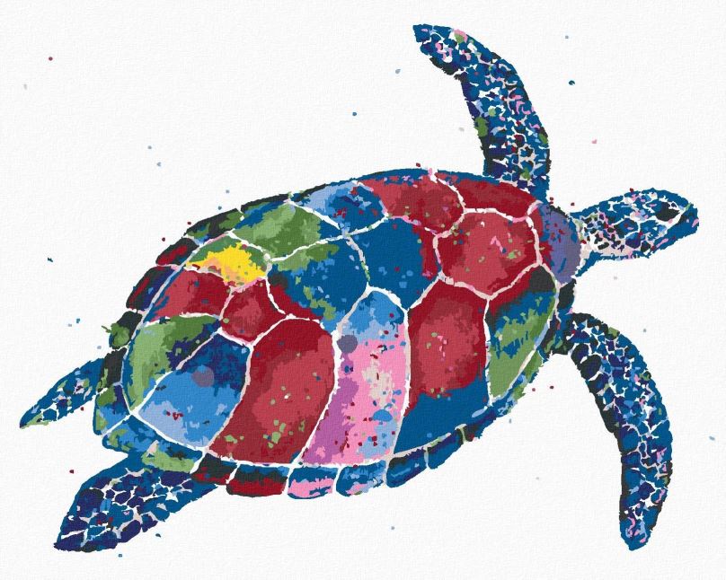 Malování podle čísel Barevná želva, 40x50 cm, bez rámu a bez vypnutí plátna