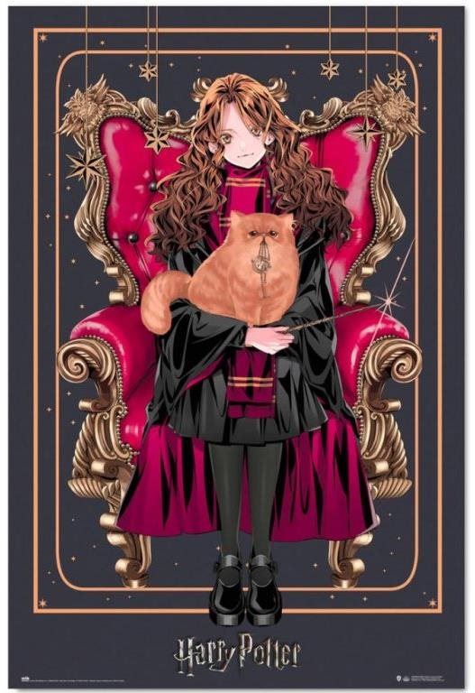 Plakát Harry Potter - Hermione - plakát