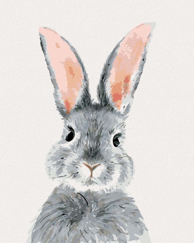 Malování podle čísel Šedý králík, 40x50 cm, bez rámu a bez vypnutí plátna