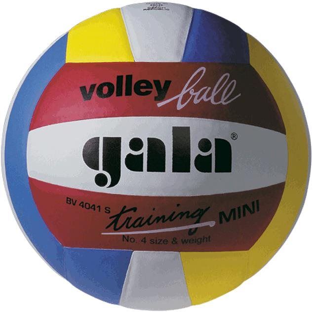 Volejbalový míč Gala Mini Training BV 4041