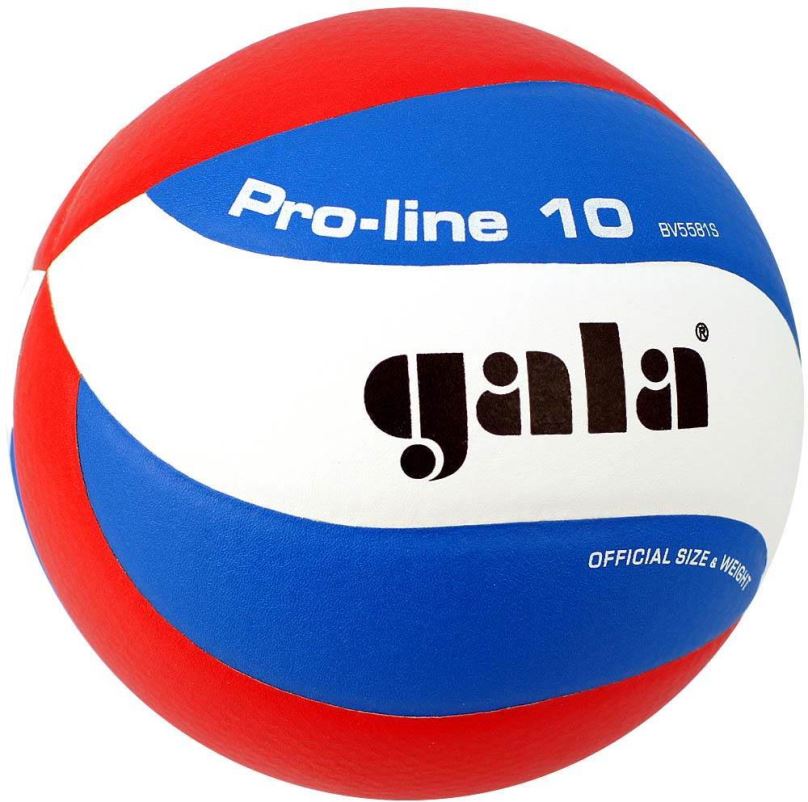 Volejbalový míč Gala Pro Line BV 5581 S