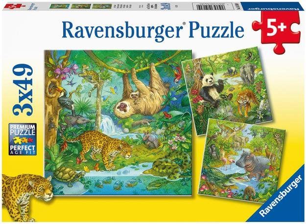 Puzzle Ravensburger 051809 Zvířata v džungli 3x49 dílků